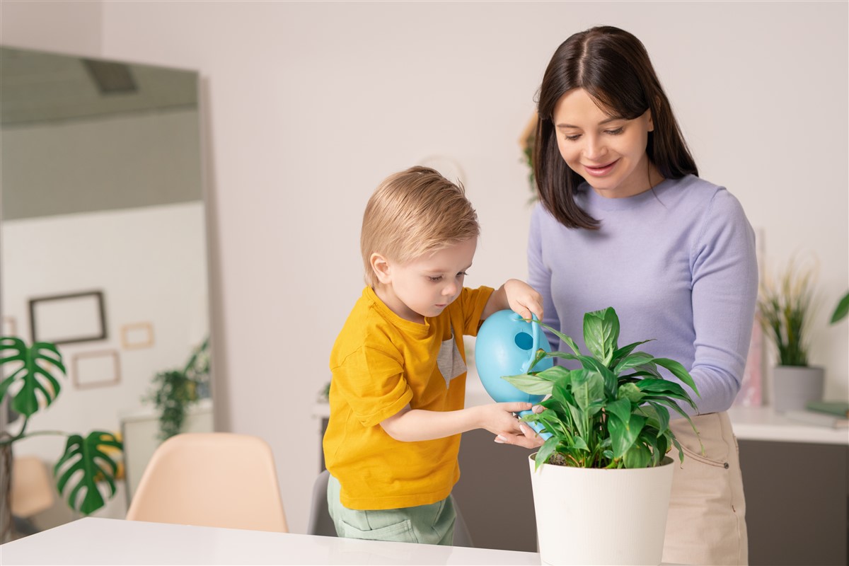 arrosoir idéal pour les plantes d'intérieur