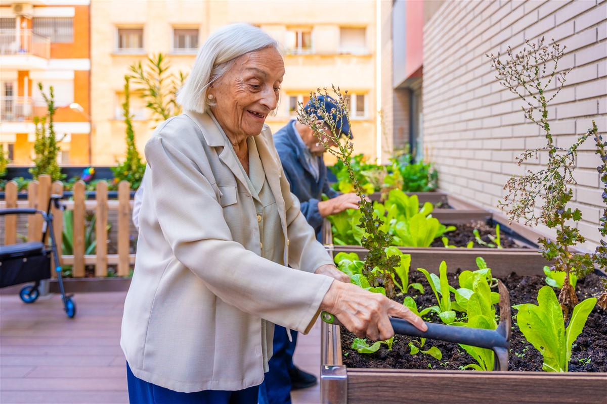 plantes d'extérieur inratables pour novices du jardinage