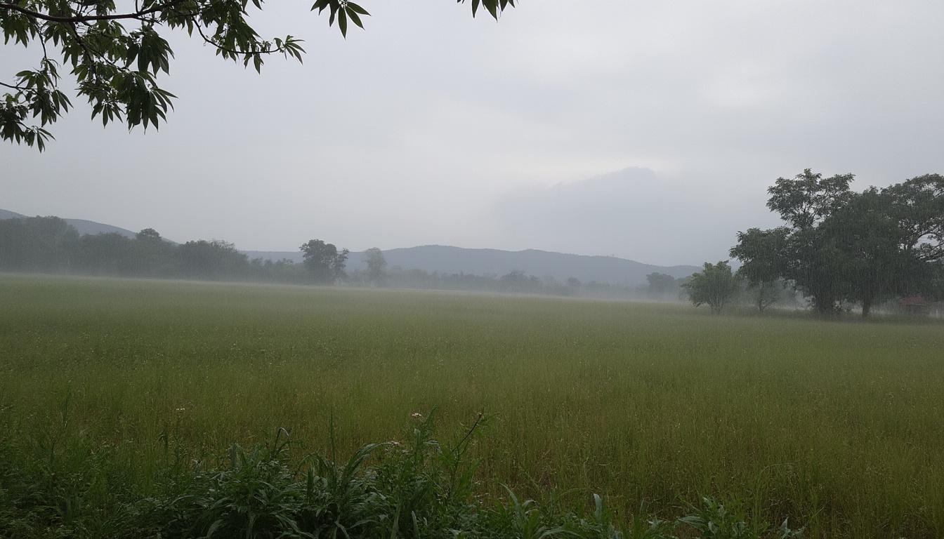 découvrez la différence entre pluie éparses et averses : définition, nuances météorologiques et conseils pour mieux comprendre les prévisions du temps.