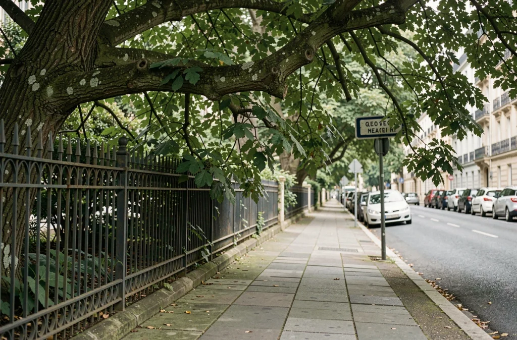 Branches d'arbres d'une propriété privée débordant sur le trottoir et masquant un panneau de signalisation en bord de route